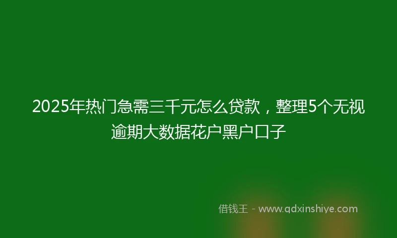 2025年热门急需三千元怎么贷款，整理5个无视逾期大数据花户黑户口子