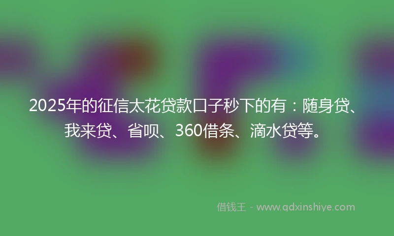 2025年的征信太花贷款口子秒下的有：随身贷、我来贷、省呗、360借条、滴水贷等。
