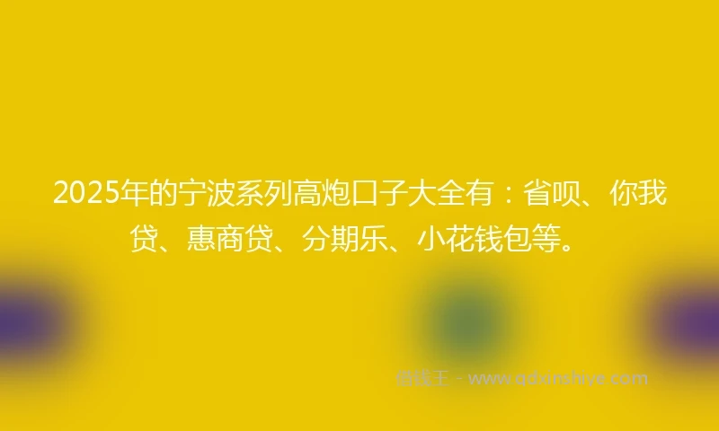 2025年的宁波系列高炮口子大全有：省呗、你我贷、惠商贷、分期乐、小花钱包等。