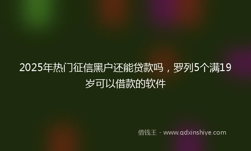 2025年热门征信黑户还能贷款吗，罗列5个满19岁可以借款的软件