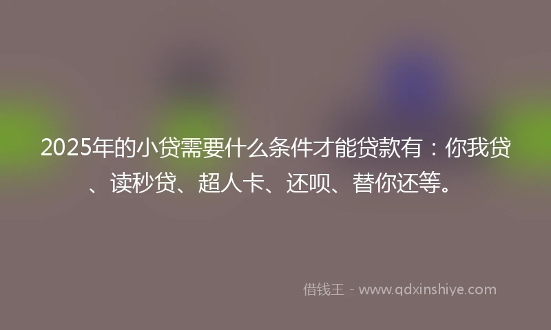 2025年的小贷需要什么条件才能贷款有：你我贷、读秒贷、超人卡、还呗、替你还等。