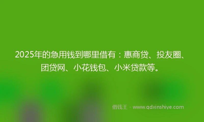 2025年的急用钱到哪里借有：惠商贷、投友圈、团贷网、小花钱包、小米贷款等。