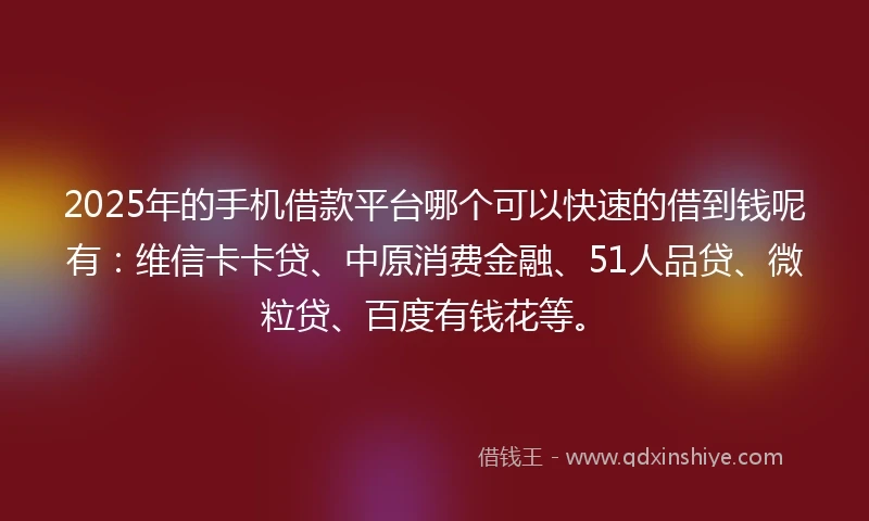 2025年的手机借款平台哪个可以快速的借到钱呢有：维信卡卡贷、中原消费金融、51人品贷、微粒贷、百度有钱花等。