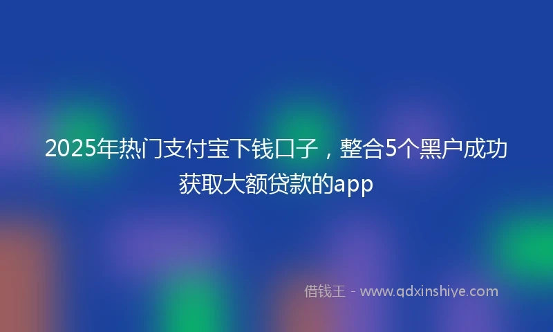 2025年热门支付宝下钱口子，整合5个黑户成功获取大额贷款的app