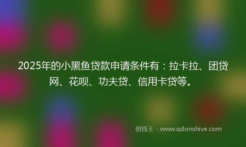 2025年的小黑鱼贷款申请条件有：拉卡拉、团贷网、花呗、功夫贷、信用卡贷等。