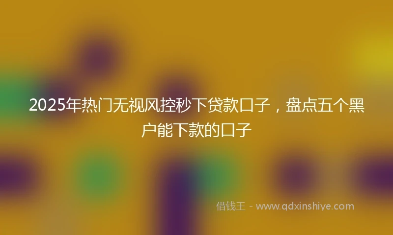 2025年热门无视风控秒下贷款口子，盘点五个黑户能下款的口子
