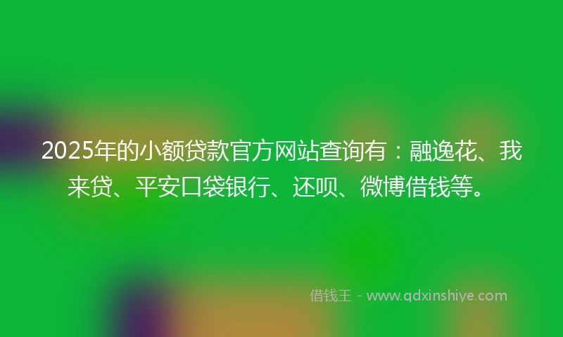 2025年的小额贷款官方网站查询有：融逸花、我来贷、平安口袋银行、还呗、微博借钱等。