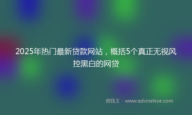 2025年热门最新贷款网站，概括5个真正无视风控黑白的网贷