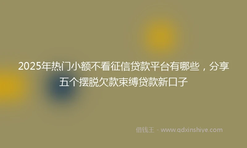2025年热门小额不看征信贷款平台有哪些，分享五个摆脱欠款束缚贷款新口子