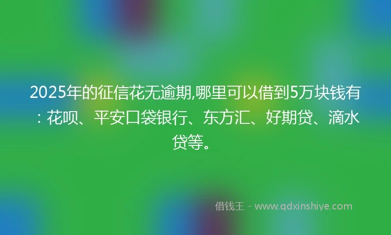2025年的征信花无逾期,哪里可以借到5万块钱有：花呗、平安口袋银行、东方汇、好期贷、滴水贷等。