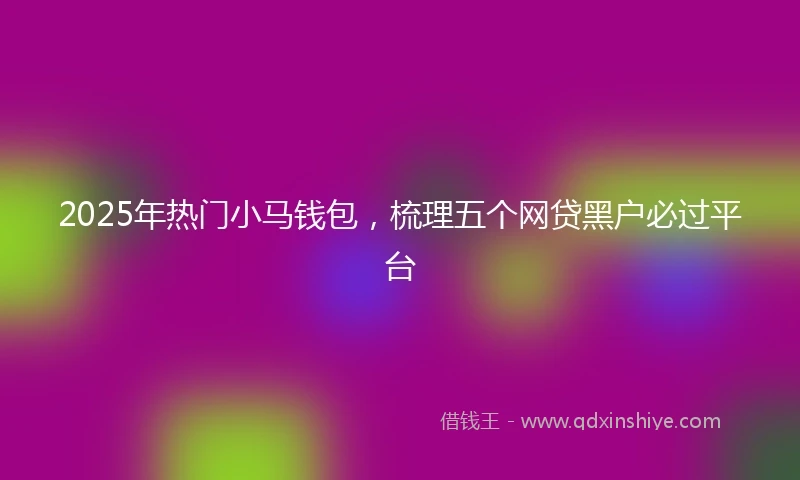 2025年热门小马钱包，梳理五个网贷黑户必过平台