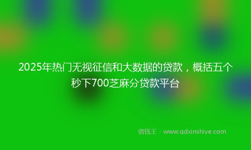 2025年热门无视征信和大数据的贷款，概括五个秒下700芝麻分贷款平台