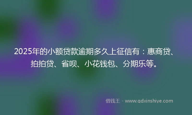 2025年的小额贷款逾期多久上征信有：惠商贷、拍拍贷、省呗、小花钱包、分期乐等。