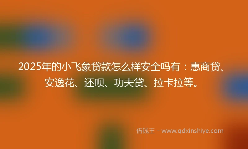 2025年的小飞象贷款怎么样安全吗有：惠商贷、安逸花、还呗、功夫贷、拉卡拉等。