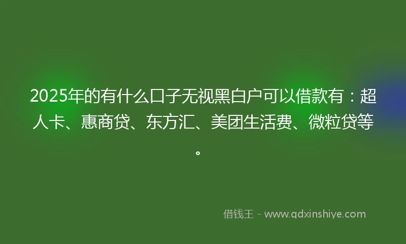 2025年的有什么口子无视黑白户可以借款有：超人卡、惠商贷、东方汇、美团生活费、微粒贷等。