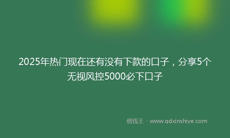 2025年热门现在还有没有下款的口子，分享5个无视风控5000必下口子