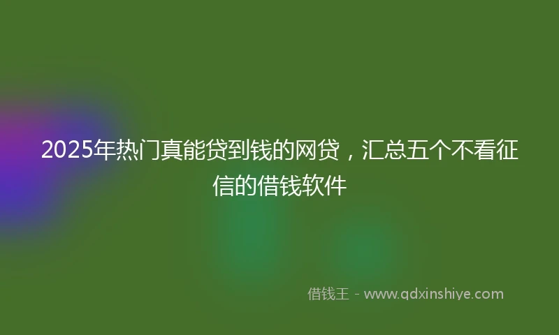 2025年热门真能贷到钱的网贷，汇总五个不看征信的借钱软件