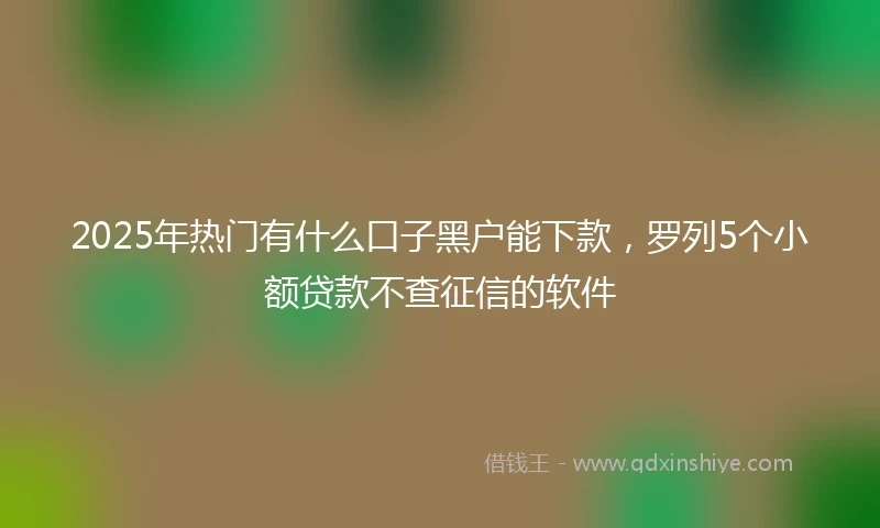 2025年热门有什么口子黑户能下款，罗列5个小额贷款不查征信的软件