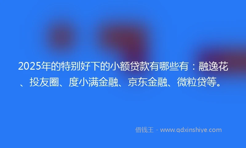 2025年的特别好下的小额贷款有哪些有：融逸花、投友圈、度小满金融、京东金融、微粒贷等。