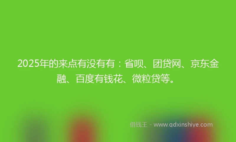 2025年的来点有没有有：省呗、团贷网、京东金融、百度有钱花、微粒贷等。