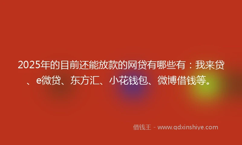 2025年的目前还能放款的网贷有哪些有：我来贷、e微贷、东方汇、小花钱包、微博借钱等。
