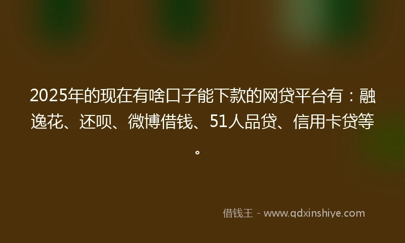 2025年的现在有啥口子能下款的网贷平台有：融逸花、还呗、微博借钱、51人品贷、信用卡贷等。