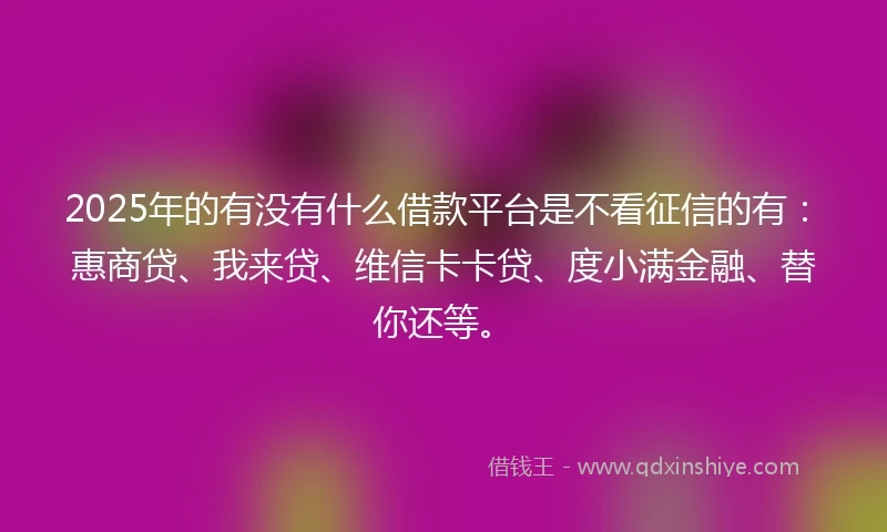 2025年的有没有什么借款平台是不看征信的有：惠商贷、我来贷、维信卡卡贷、度小满金融、替你还等。