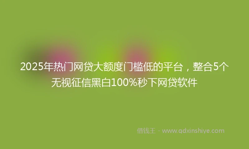 2025年热门网贷大额度门槛低的平台，整合5个无视征信黑白100%秒下网贷软件