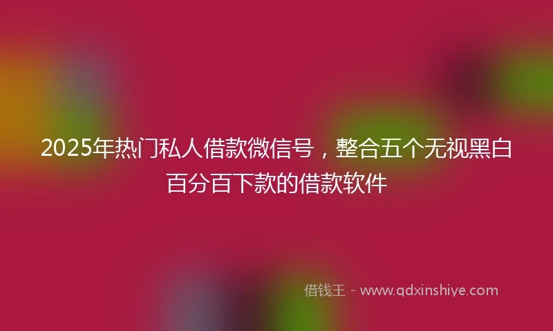 2025年热门私人借款微信号，整合五个无视黑白百分百下款的借款软件