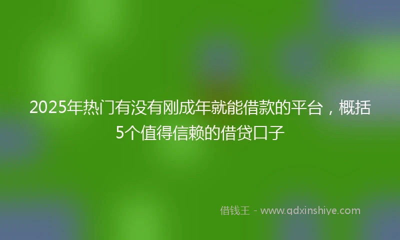 2025年热门有没有刚成年就能借款的平台，概括5个值得信赖的借贷口子