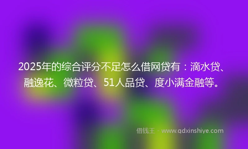 2025年的综合评分不足怎么借网贷有：滴水贷、融逸花、微粒贷、51人品贷、度小满金融等。