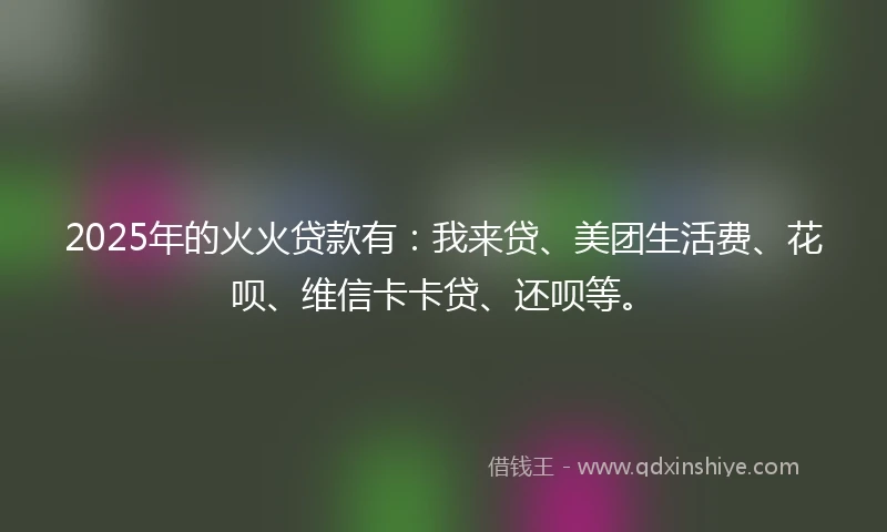 2025年的火火贷款有：我来贷、美团生活费、花呗、维信卡卡贷、还呗等。