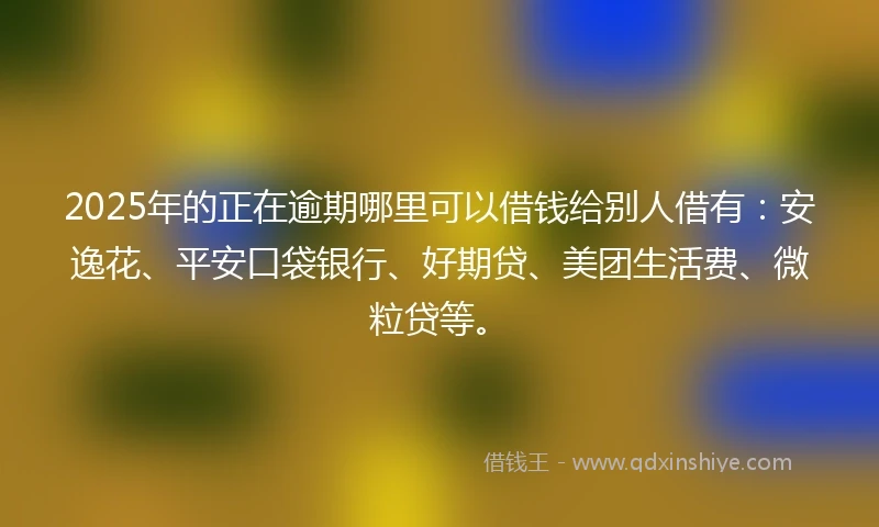 2025年的正在逾期哪里可以借钱给别人借有：安逸花、平安口袋银行、好期贷、美团生活费、微粒贷等。