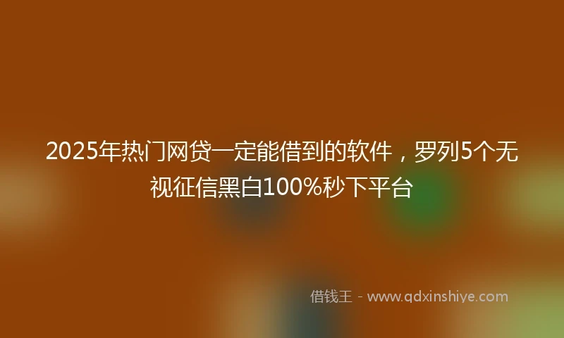 2025年热门网贷一定能借到的软件，罗列5个无视征信黑白100%秒下平台