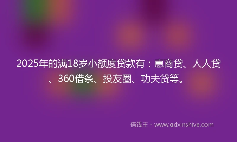 2025年的满18岁小额度贷款有：惠商贷、人人贷、360借条、投友圈、功夫贷等。