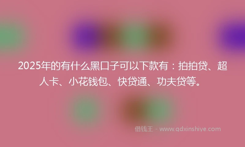 2025年的有什么黑口子可以下款有：拍拍贷、超人卡、小花钱包、快贷通、功夫贷等。