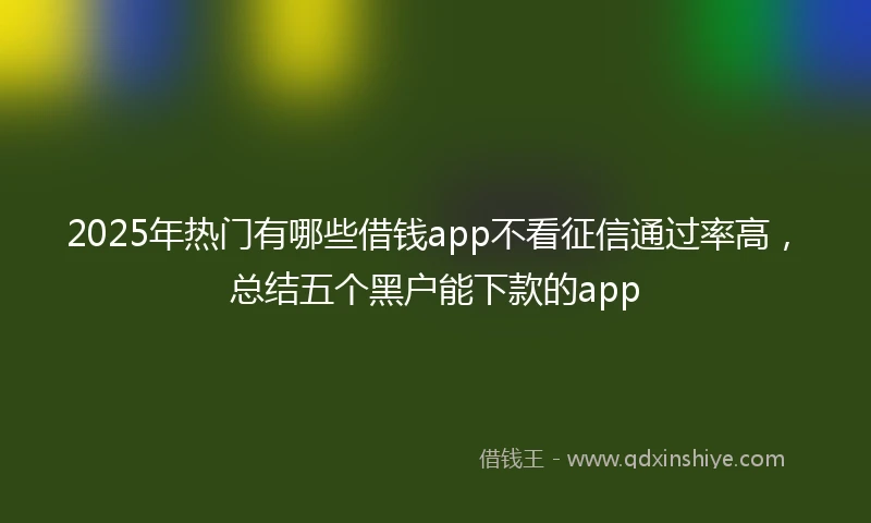 2025年热门有哪些借钱app不看征信通过率高，总结五个黑户能下款的app