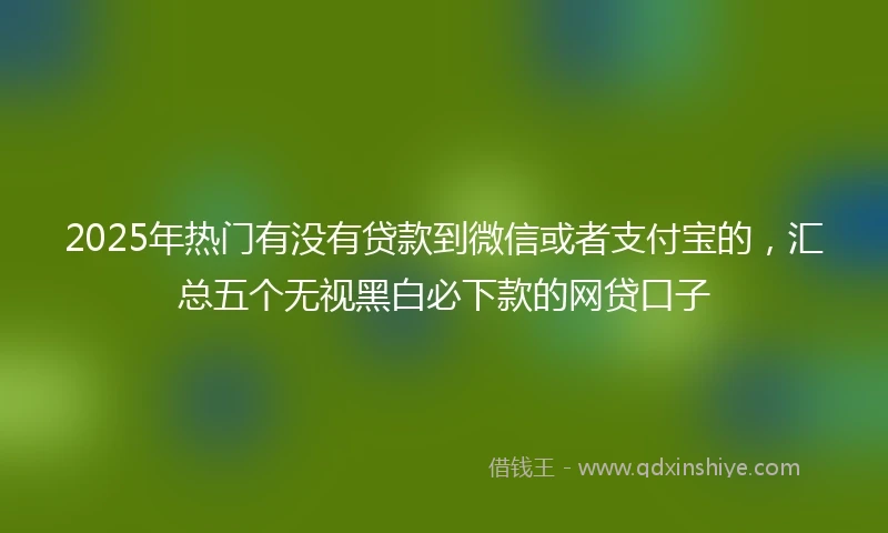 2025年热门有没有贷款到微信或者支付宝的，汇总五个无视黑白必下款的网贷口子