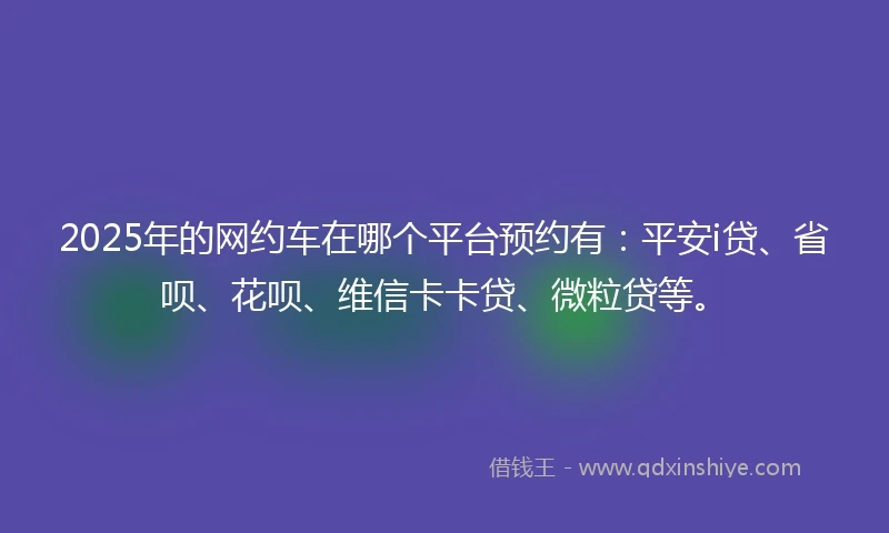 2025年的网约车在哪个平台预约有：平安i贷、省呗、花呗、维信卡卡贷、微粒贷等。