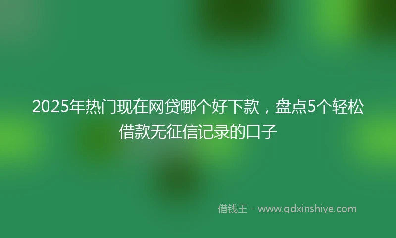 2025年热门现在网贷哪个好下款，盘点5个轻松借款无征信记录的口子