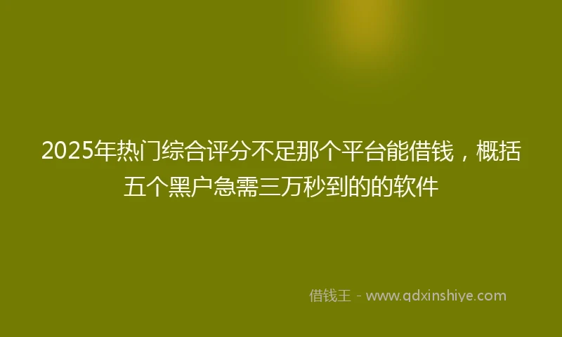 2025年热门综合评分不足那个平台能借钱，概括五个黑户急需三万秒到的的软件