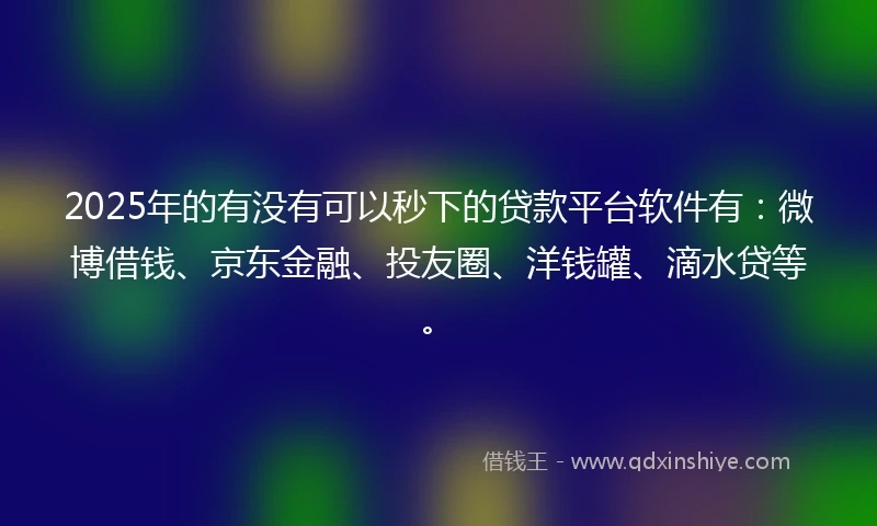 2025年的有没有可以秒下的贷款平台软件有：微博借钱、京东金融、投友圈、洋钱罐、滴水贷等。