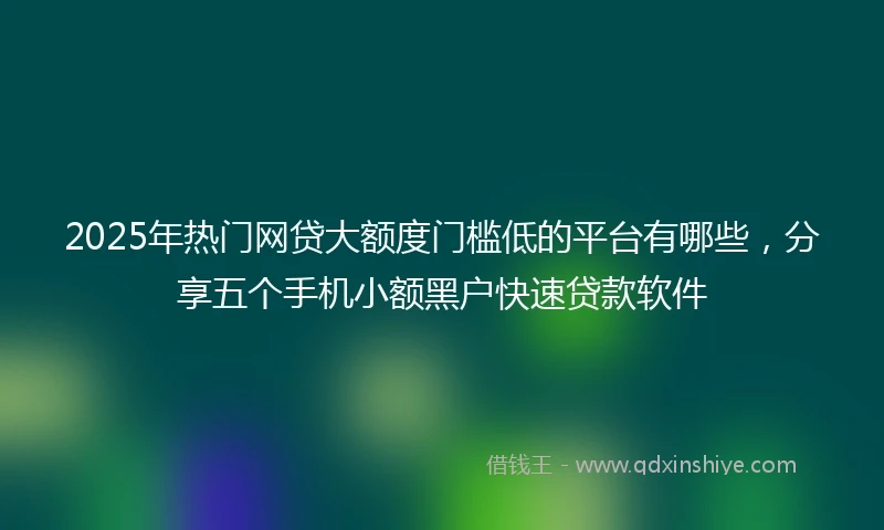 2025年热门网贷大额度门槛低的平台有哪些，分享五个手机小额黑户快速贷款软件