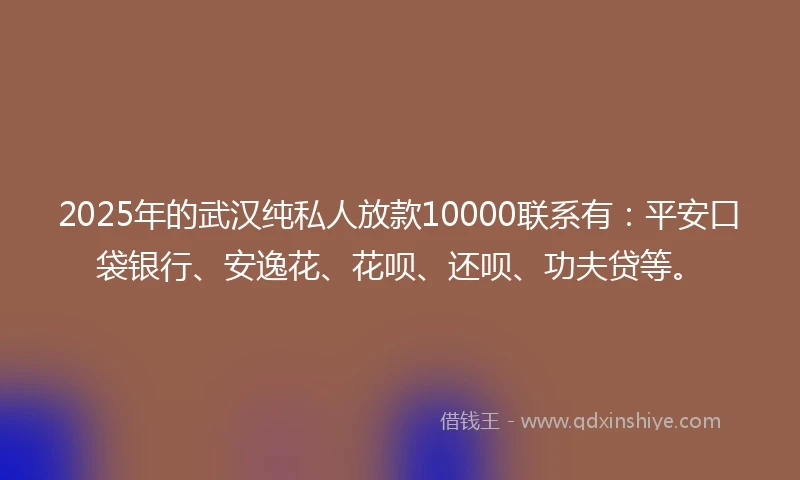 2025年的武汉纯私人放款10000联系有：平安口袋银行、安逸花、花呗、还呗、功夫贷等。