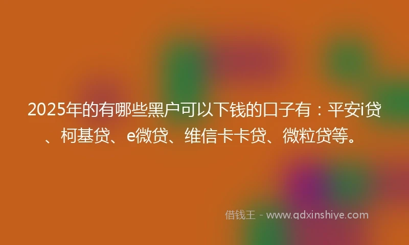 2025年的有哪些黑户可以下钱的口子有：平安i贷、柯基贷、e微贷、维信卡卡贷、微粒贷等。