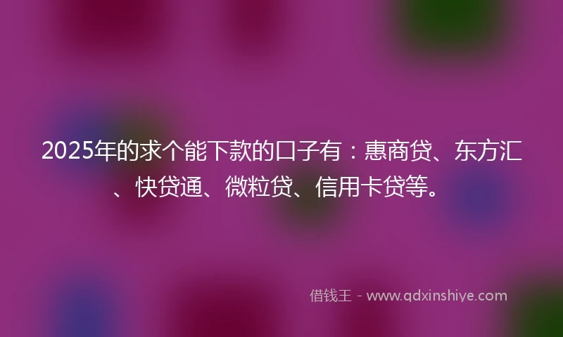 2025年的求个能下款的口子有：惠商贷、东方汇、快贷通、微粒贷、信用卡贷等。