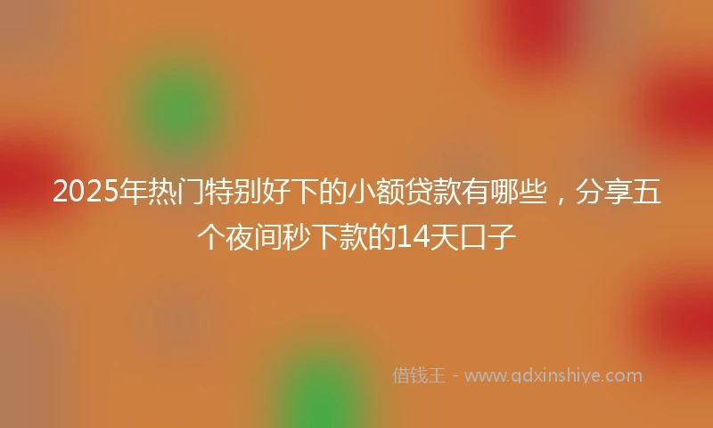 2025年热门特别好下的小额贷款有哪些，分享五个夜间秒下款的14天口子