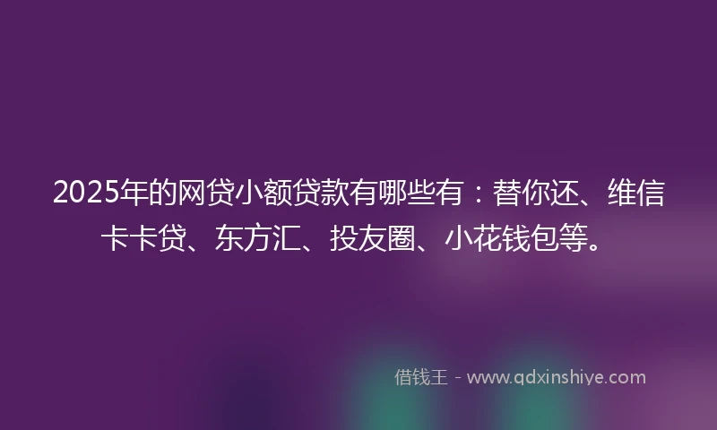 2025年的网贷小额贷款有哪些有：替你还、维信卡卡贷、东方汇、投友圈、小花钱包等。