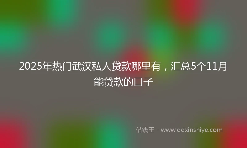 2025年热门武汉私人贷款哪里有，汇总5个11月能贷款的口子