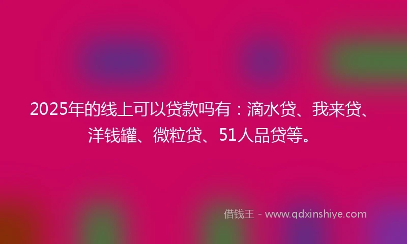 2025年的线上可以贷款吗有：滴水贷、我来贷、洋钱罐、微粒贷、51人品贷等。